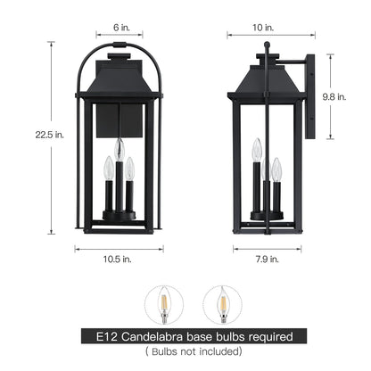 Brits Black Outdoor Wall Lantern Sconce Light