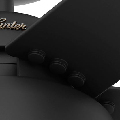 Hunter 52 Autumn Breeze II Ceiling Fan Indoor Outdoor LED Light & Handheld Remote - Industrial, Transitional, Modern, Caged