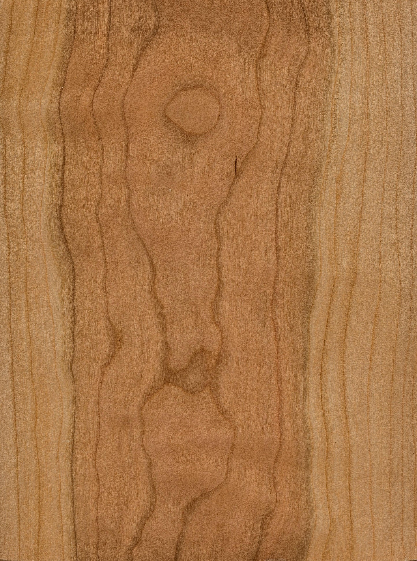 Chaise d'appoint Bradley